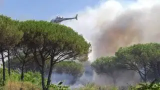 16 Luglio 2017 | Torre del Greco: brucia il Parco Nazionale del Vesuvio