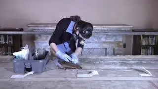 Restoration of Pierre Puvis de Chavannes&rsquo; Philosophy Mural Panel