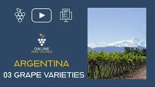 03 Grape Varieties | Argentina🍇Online Wine Courses ➡️ with QUIZ