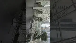 Natural garden with big trees on the 4th floor... Devonian garden @ The Core, Downtown, Calgary AB