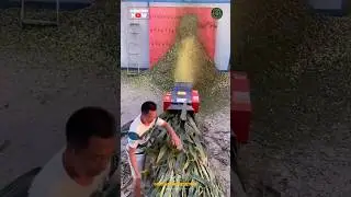 Heavy Duty Chaffcutter Machine