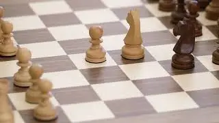 19598 303873067 tiny