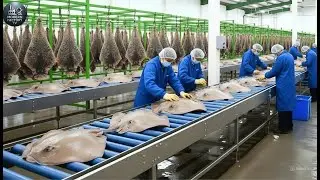 Inside a Luxury Leather Factory: From Raw Stingray Skin to Handmade Designer Wallets (Full Process)