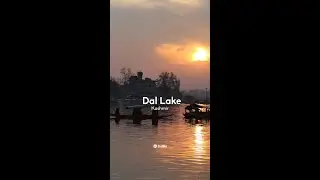 Experience the MAGIC of Dal Lake at Sunset