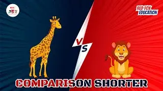 Quiz for Kids - Comparison
