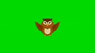 Owl green screen | owl cartoon | Cartoon green screen
