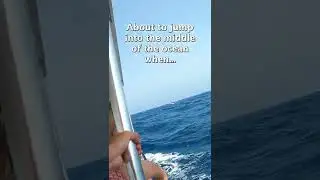 When you jump in the ocean and see this! #Shorts