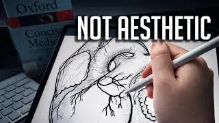 How I use my iPad Pro without being aesthetic in Medical School (UK)