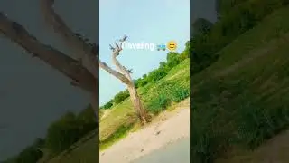 traveling #punjabisong #song #music chill masti