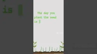 #AFFIRMATION_11 Bloom where you're planted.🌼 #positivity  #lessons  #life  #journey #growth #live