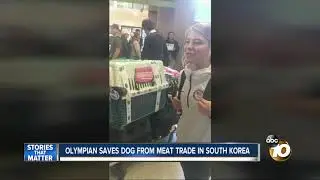 Olympian saves dog from meat trade in South Korea