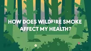 How Does Wildfire Smoke Affect My Health?