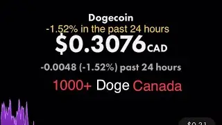 1000+ Doge Canada, 11 сентября 2021 г.