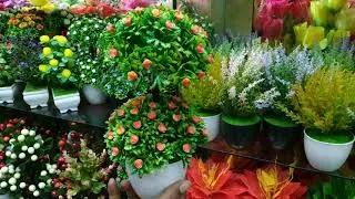 পাইকারি দামে রুম ডেকোরেশন ফুল কিনুন