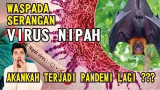 Virus Nipah: Tingkat Kematian 75%! Ini Gejala yang HARUS Kamu Tahu