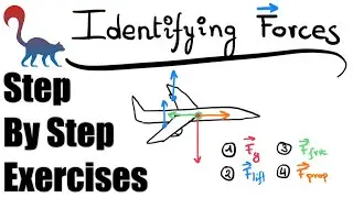 How to identify forces - Newtonian mechanics (6 exercises)