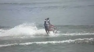 WATERSKI SHOW CYPRESSGARDENS