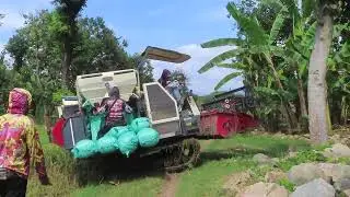 Kombi Sawah Maxxi Bimo Mbah Kun habis memanen naik ke Jalan | MT2 2025