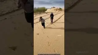 China's robot is planting trees in the desert #technology #tree #robot