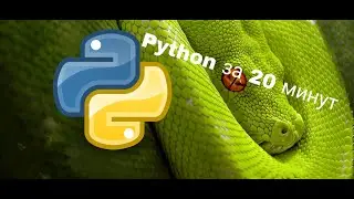 Python за 20 минут