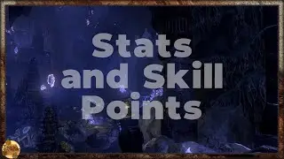 ESO Beginner Series 2: Stats and Skill Points #Sponsored
