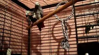 MOV01143.AVI