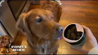 Dog Digestive Enzymes & Prebiotics for Gut Health