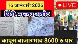 आजचे कापूस बाजार भाव |कापुस भाव आजचा l|kapus bhav| cotton rate# मानवत कापूस बाजार !Kapus bajar bhav 