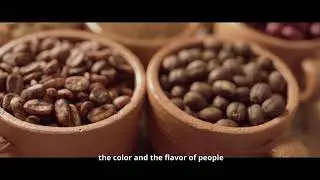 SANTA MAÑANA LA HISTORIA DEL CAFÉ