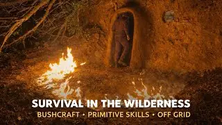 How I Built a Hidden Shelter Deep in the Forest