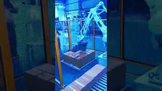 Robotic Palletizing Solutions