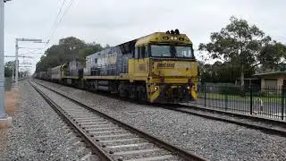 Another Commercial Pacific National caught by Odgee with great Horn!