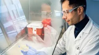 Online Biomanufacturing and Biotechnology Master's Program - Colorado State University