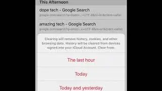 HOW TO CLEAR YOUR SEARCH HISTORY ON SAFARI!! (Apple iPhone | IPad