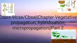 Class-9Icse/Cbse||Chapter-Vegetative propagation, hybridisation, micropropagation|| Part-2