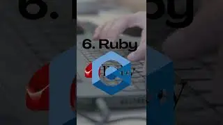 TOP 10 PROGRAMMING LANGUAGES (2023)