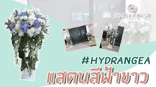 สอนจัดดอกไม้ #แสตนดอกไม้ #ดอกhydrangea