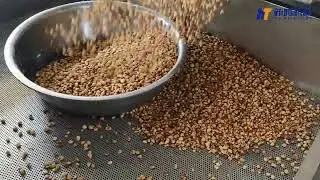 coated peanut roaster