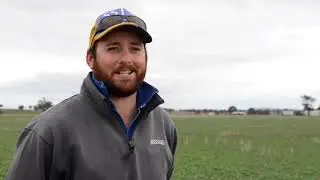 Graymont AgLime helps improve acidic soil for successful canola operation.
