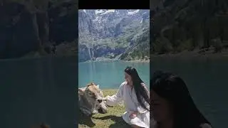 Make Oeschinensee your next travel destination 😊😊             #oeshinensee #swissnature #happycows