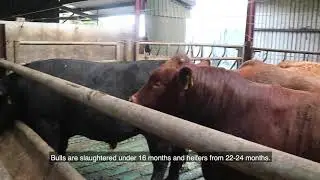 BETTER farm: Ger McSweeney, Cork