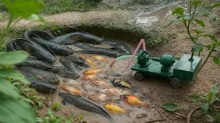 Massive Pond Harvest Adventure! Tos Tos, Muddy Catches & Powerful Pump