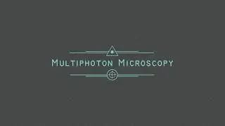 Microscopy Principals: Multiphoton Microscopy