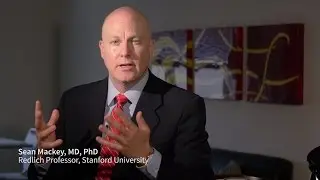 Stanford's Sean Mackey, MD, PhD on 