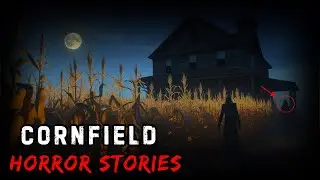 13 TRUE Cornfield Horror Stories | 