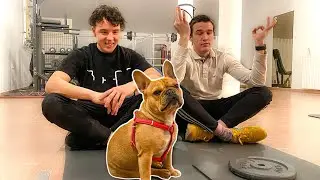 Perfect Day With Dog Uncles