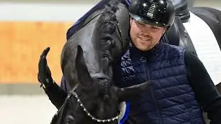 AES Stallion Grading Poland 2025