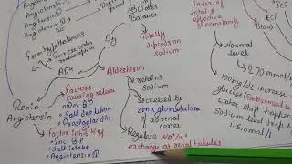 Water Balance 2
