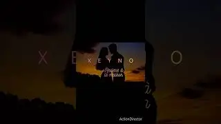 Xeyno_reviens_à_la_maison