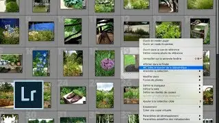 G&eacute;rez vos collections et vos dossiers : Ma Pause Caf&eacute; avec Yves Chatain | Adobe Lightroom CC